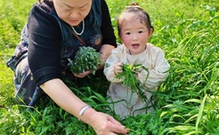 女人吃男人香蕉吃上瘾了怎么办